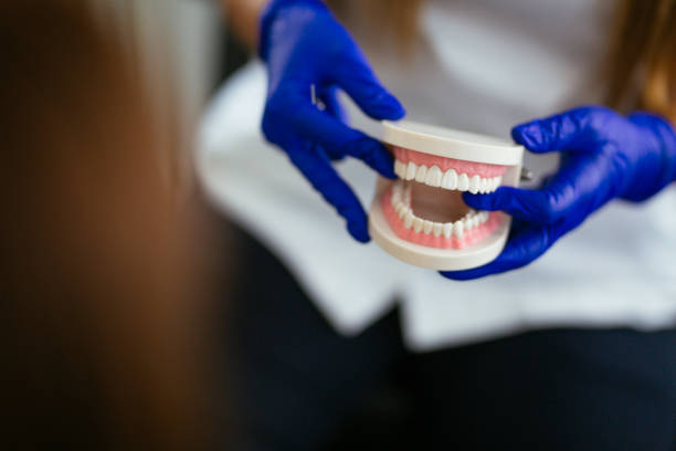 Best Dental X-Rays and Imaging  in Toledo, OR
